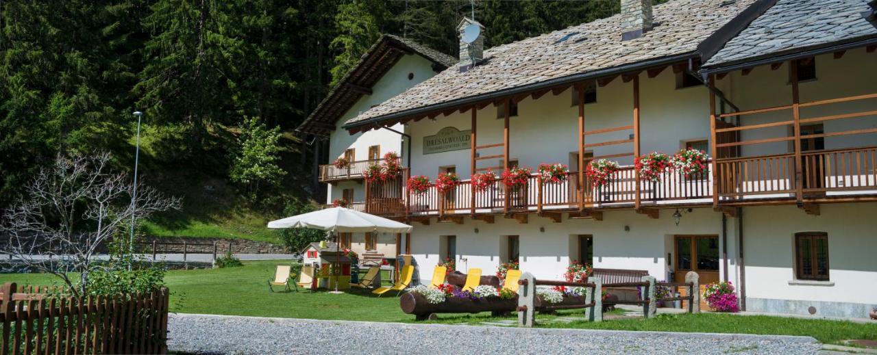 Bed and Breakfast Dresalwoald Грессоне-Сен-Жан Экстерьер фото